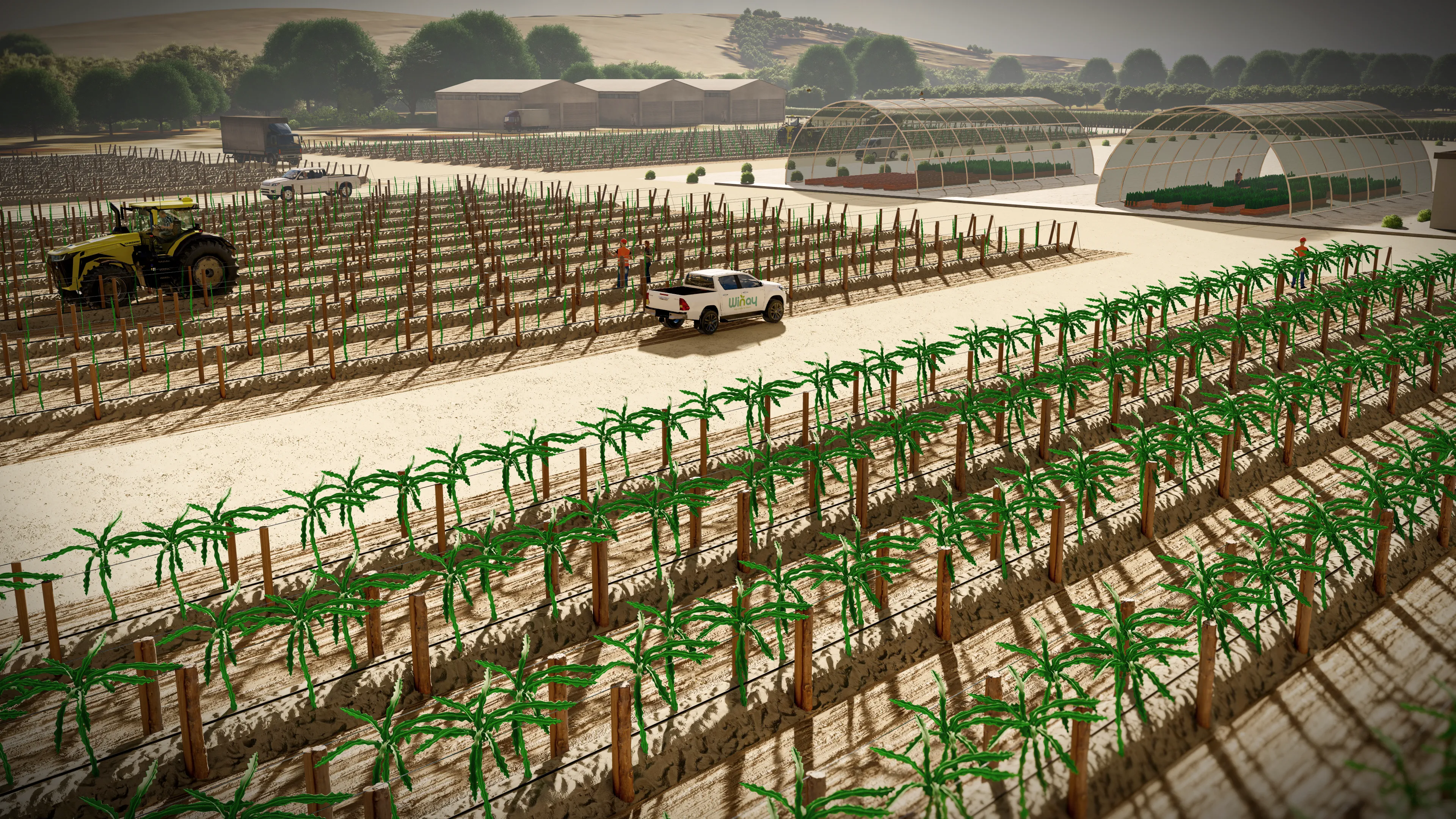 Imagen principal Wayu